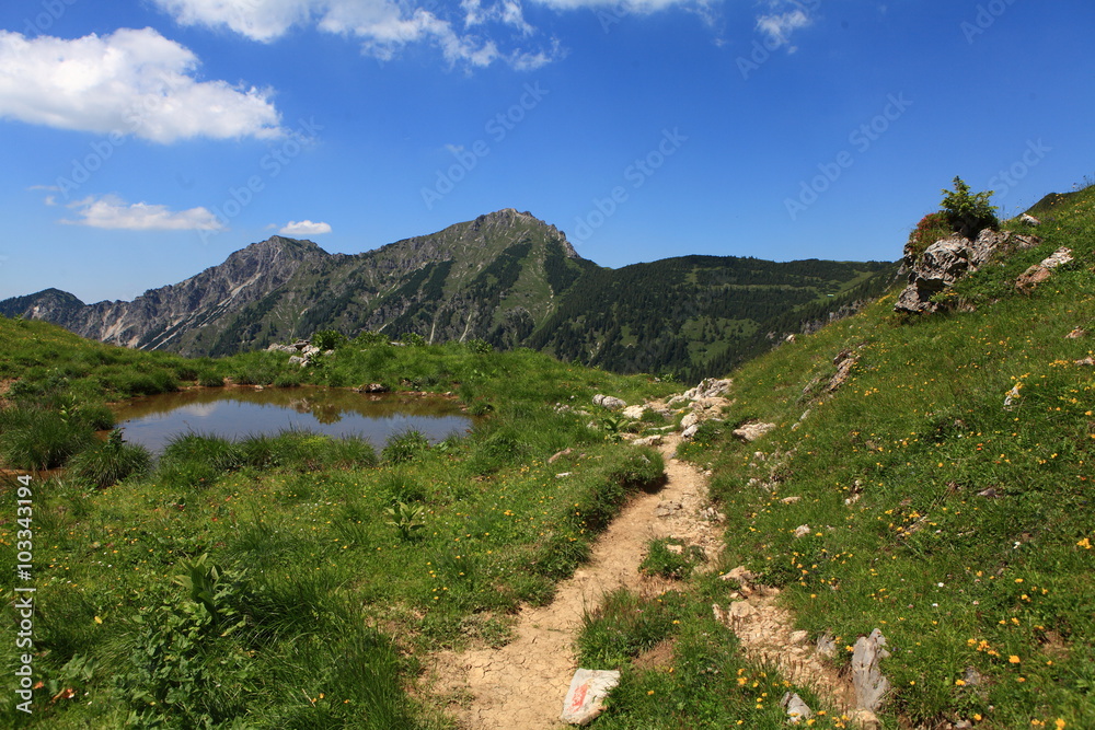 Fototapeta premium Hintersteiner Tal