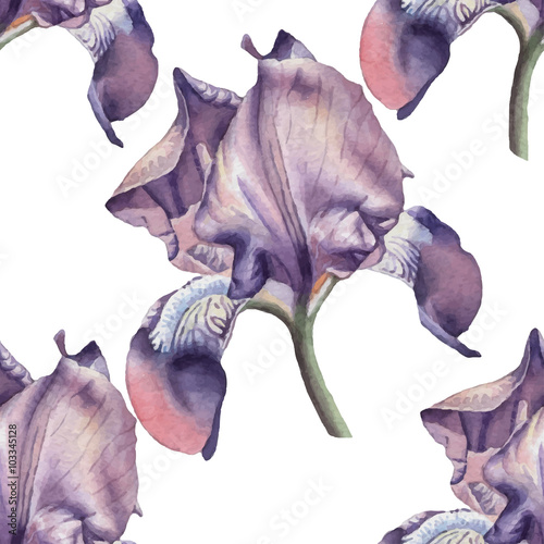 Seamless pattern with iris.