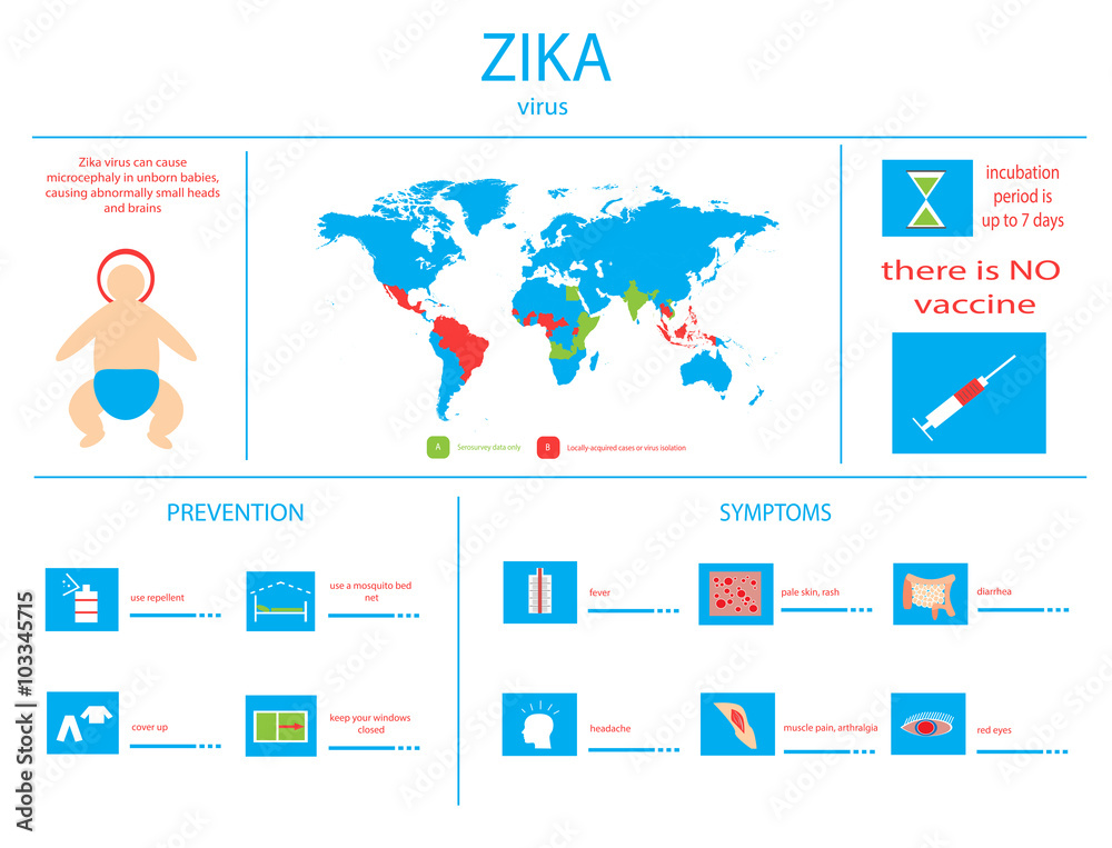 zika virus infographic elements