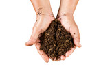 close up hand holding soil peat moss on isolated with clipping p