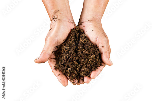 close up hand holding soil peat moss on isolated with clipping p photo