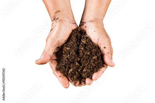 Canvastavla close up hand holding soil peat moss on isolated with clipping p