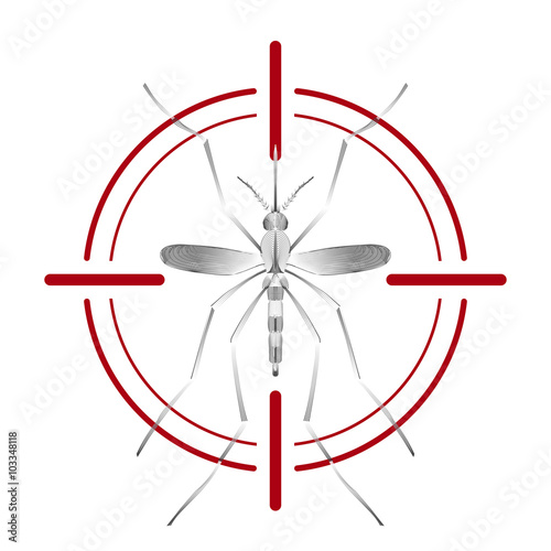 Fever mosquito species aedes aegyti in red aim isolated on white background