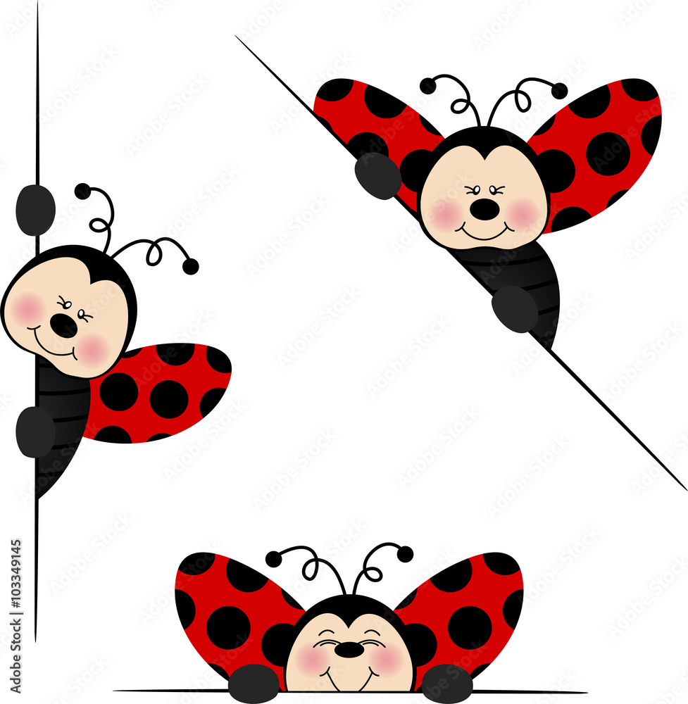 Fototapeta premium Ladybird peeking from behind in various positions 