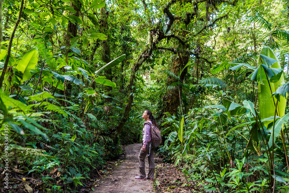 Fototapeta premium Girl walking on trail in cloudforest - Monteverde, Costa Rica