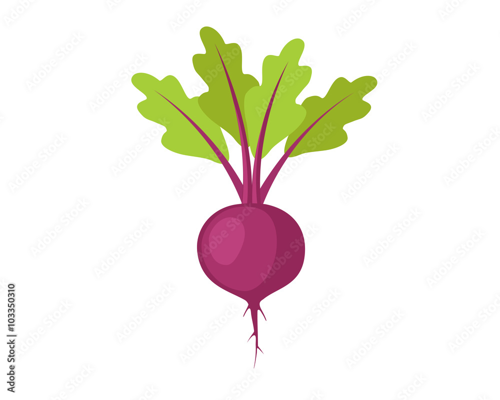 Fotografija Flat icon beet with leaves. Vector illustration.