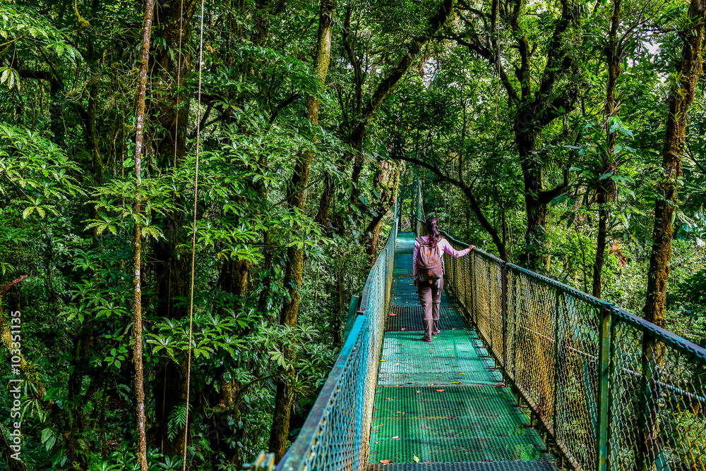 Naklejka premium Girl on hanging bridge in cloudforest - Monteverde, Costa Rica