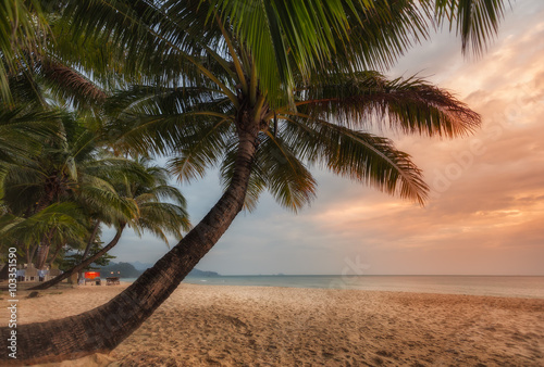Thailand. Ko Chang. Tropical sunset. On the beach White Sand Beach © naumenkophoto
