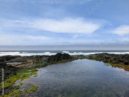 Pacific Ocean tide pool - landscape color photo