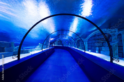  aquarium