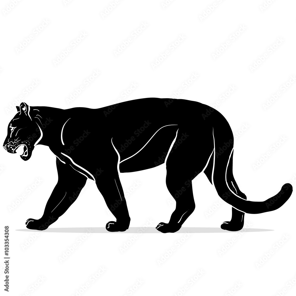 Naklejka premium panther with huge tusks 