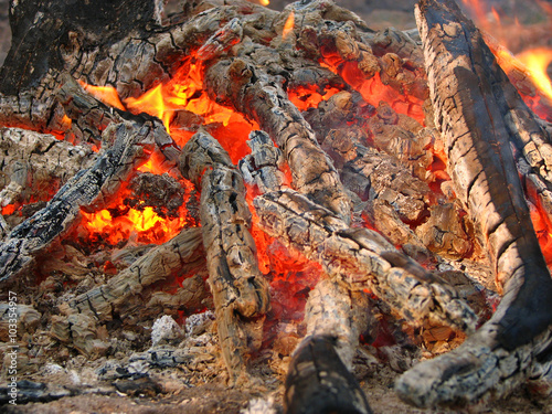 bonfire. wood in fire