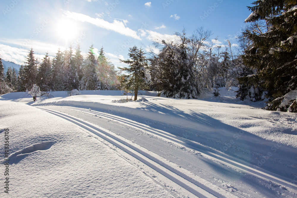 Obraz premium Langlaufloipe, Winterlandschaft in den Bergen, Hinterthal