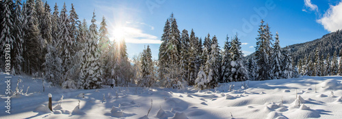 Verschneite Winterlandschaft in den Bergen, Panorama