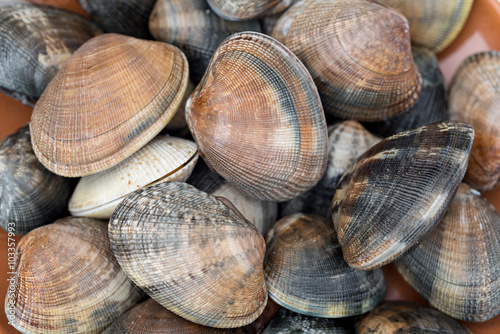 Detail of clams