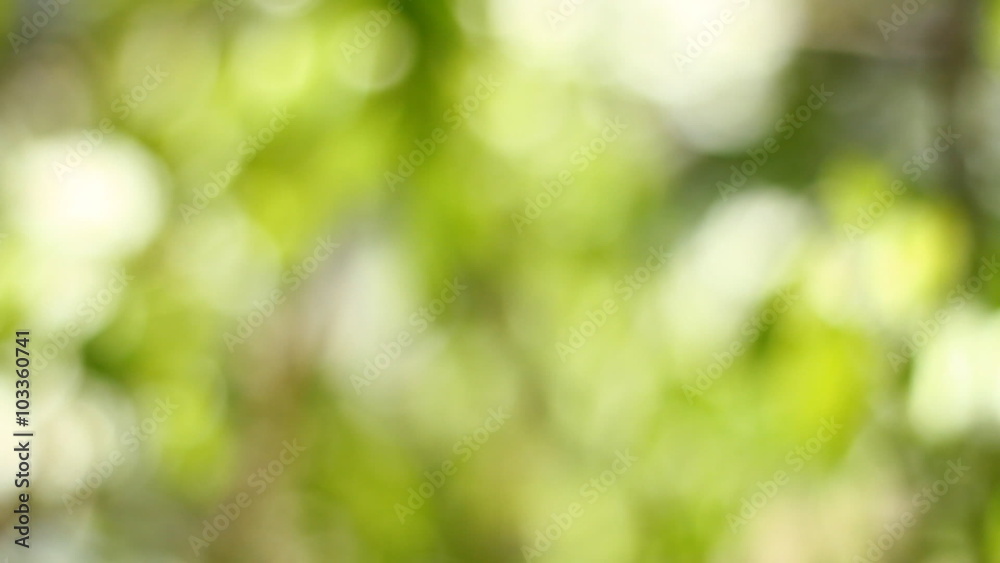 abstract background of light spots bokeh abstract background of light spots bokeh