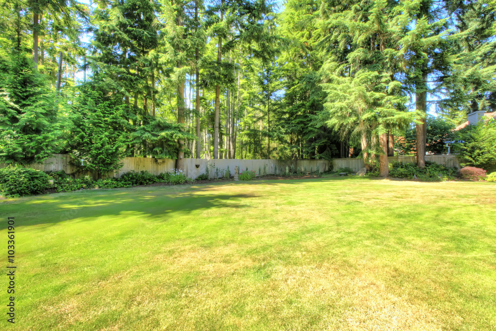 Beautiful yard filled with greenery and flowers. Beautiful yard filled with greenery and flowers.