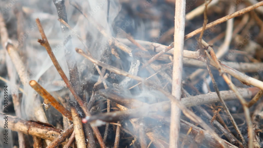 smoke coming from under the dry branches smoke coming from under the dry branches