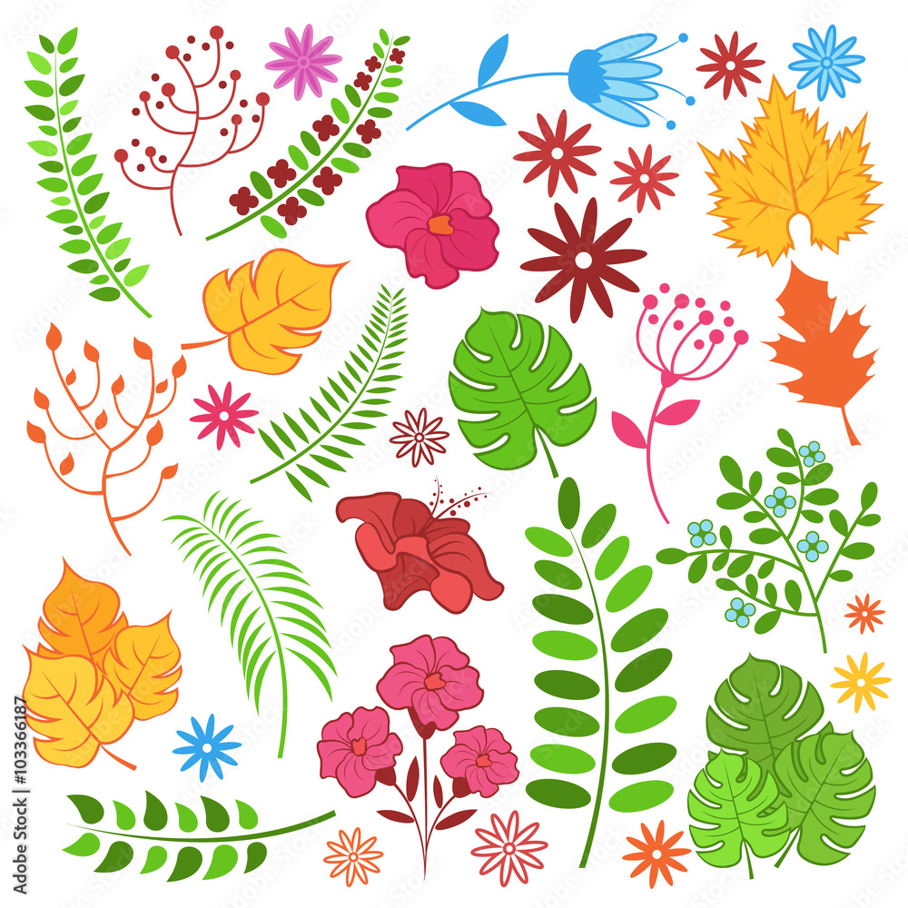 Fototapeta premium Floral set. Vector cartoon color illustration