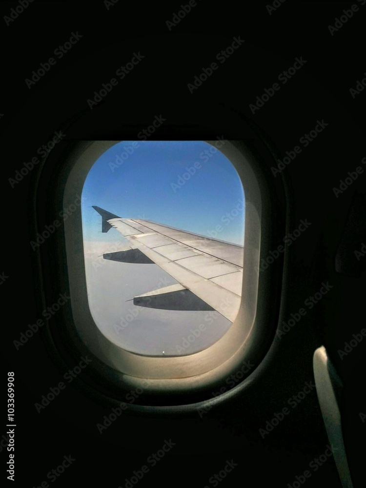 Flight wing from window seat