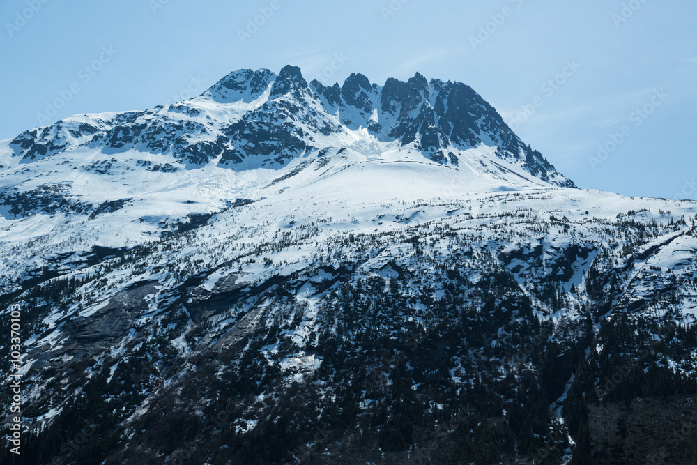Alaskan Mountain Peak