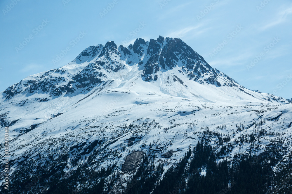 Snowcapped Peaks