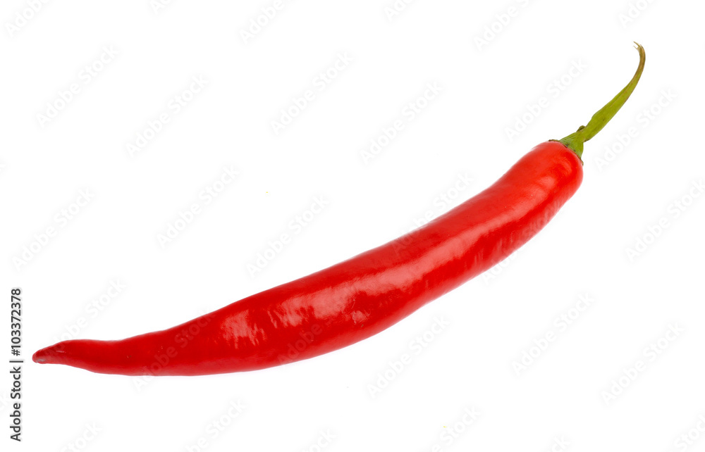 Red chili peppers isolated on white background Red chili peppers isolated on white background
