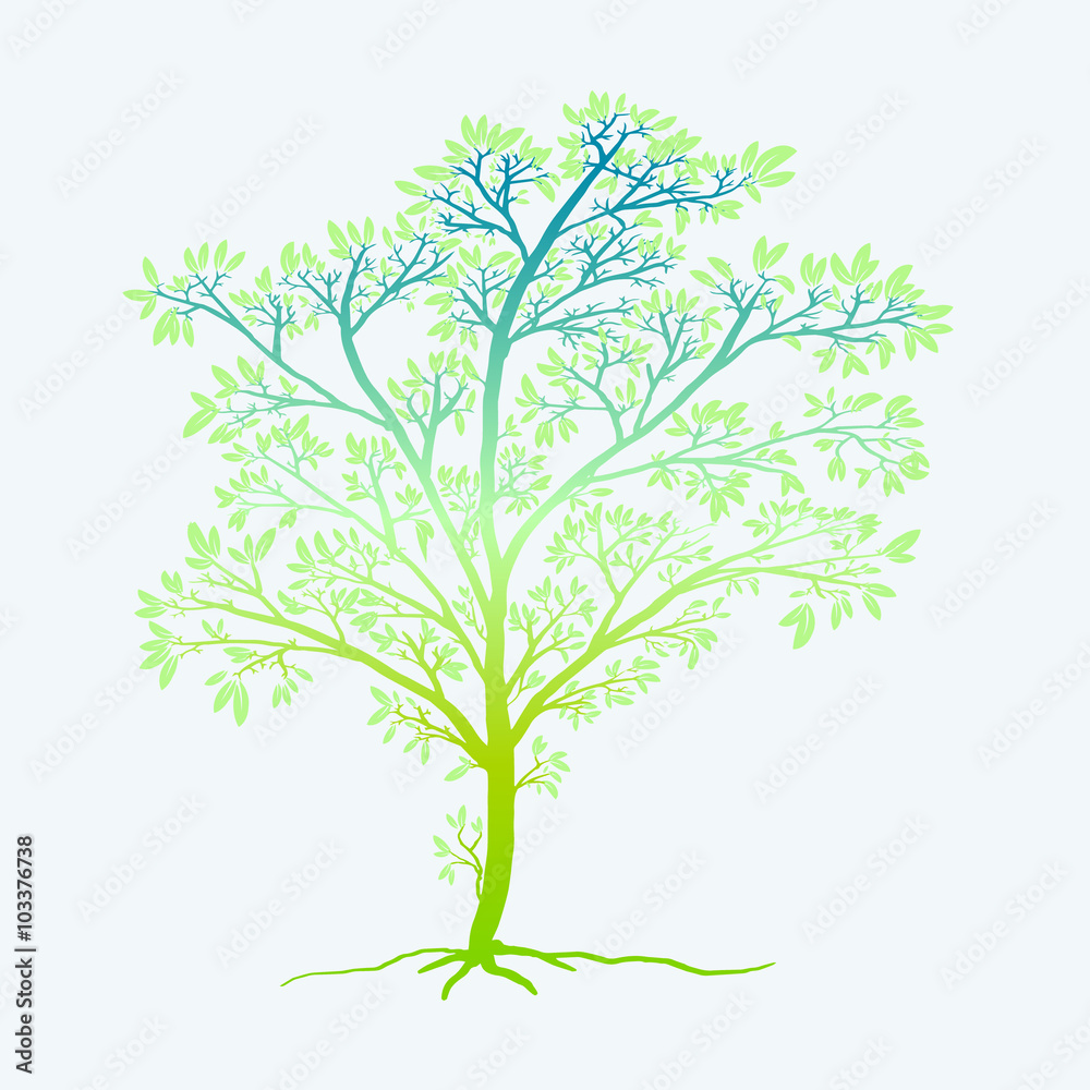 young tree of life young tree of life