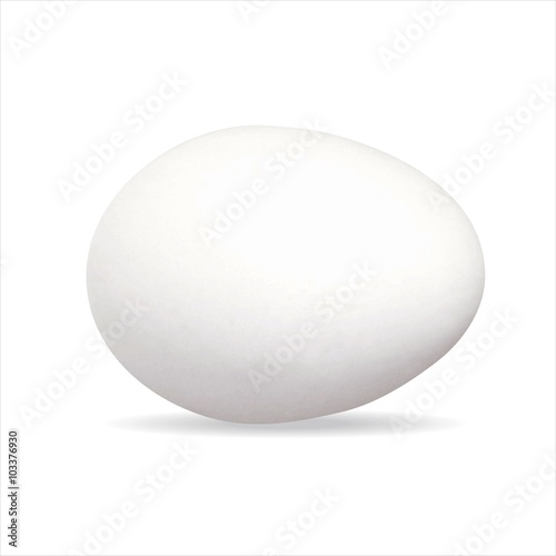 Ei Eier Bio Ostern Eierschale weiß Bauernhof essen Vektor Güteklasse Hühnerei liegend  - - Egg Organic Easter eggshell white farm food vector easter hen's egg chicken egg horizontal