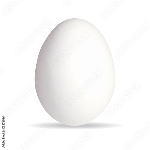 Ei Eier Bio Ostern Eierschale weiß Bauernhof essen Vektor Güteklasse Hühnerei stehend -  - Egg Organic Easter eggshell white farm food vector easter hen's egg chicken egg standing