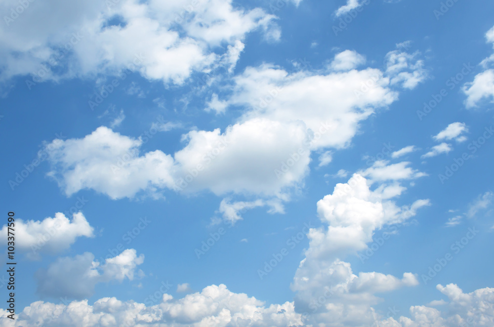 Fototapeta premium blue sky