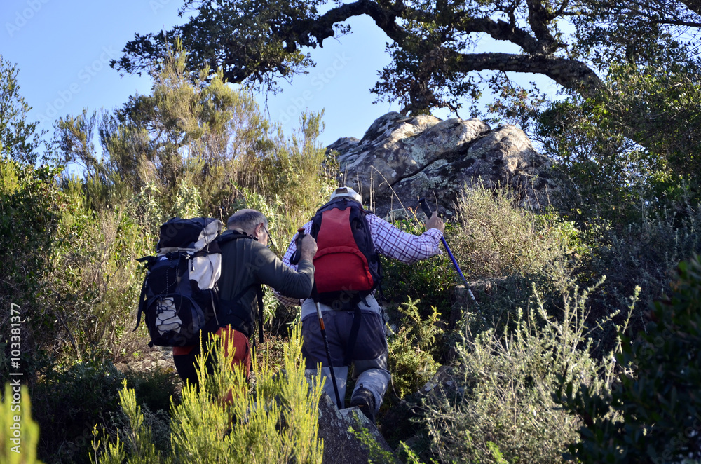 Naklejka premium Senderistas en el monte.