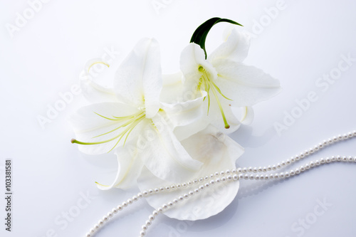 Fototapeta Naklejka Na Ścianę i Meble -  ユリと貝殻と真珠