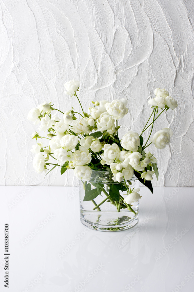 Fototapeta premium 白薔薇