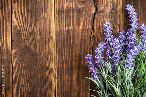 Fototapeta Naklejka Na Ścianę i Meble -  lavender