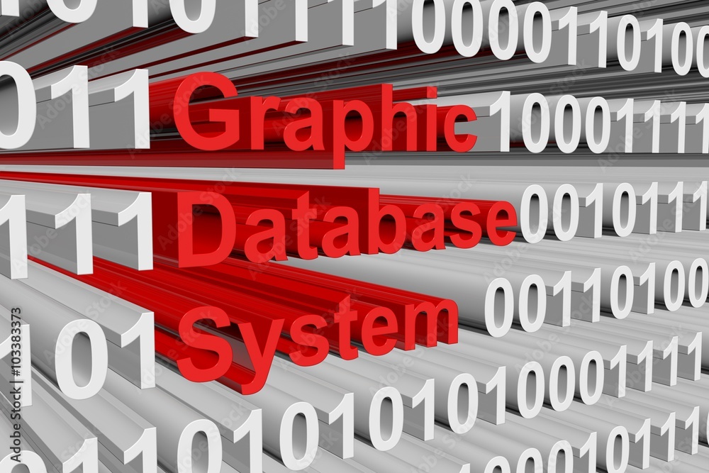 Graphic Database System is presented in the form of binary code Graphic Database System is presented in the form of binary code