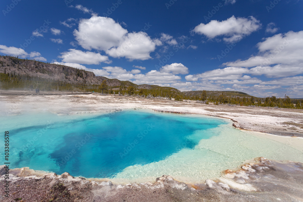 Fototapeta premium Biscuit basin Yellowstone National Park, Wyoming, United States of America