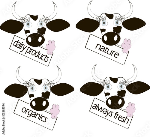 Black and white cow head, blue eyes, pink flower, table labeled Dairy products, Always fresh, Organic, Natural on white, vector