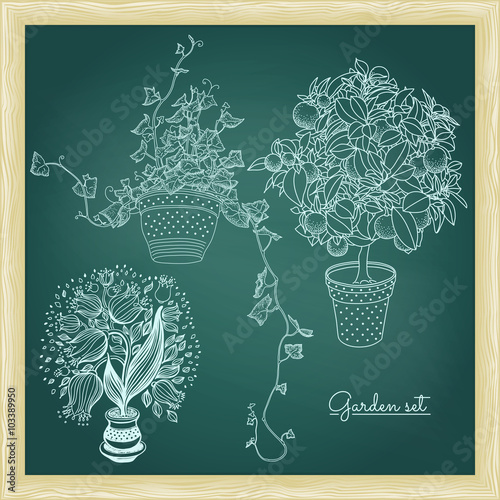 Garden set with 3 plants in flowerpot: bluebell, tangerine and i