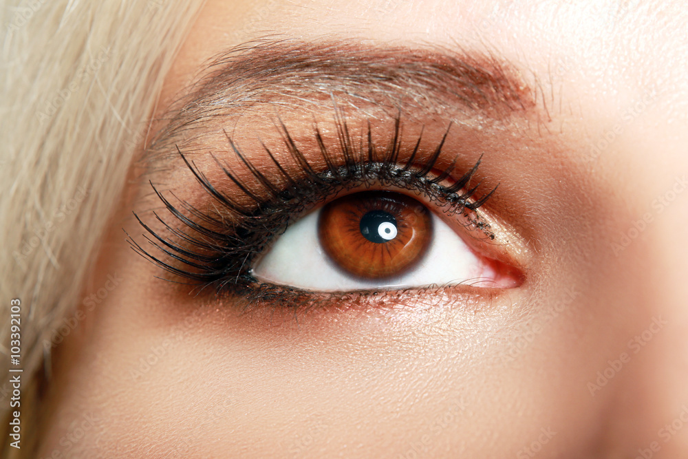 brown eye brown eye