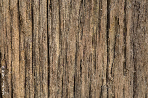 wooden surface.
