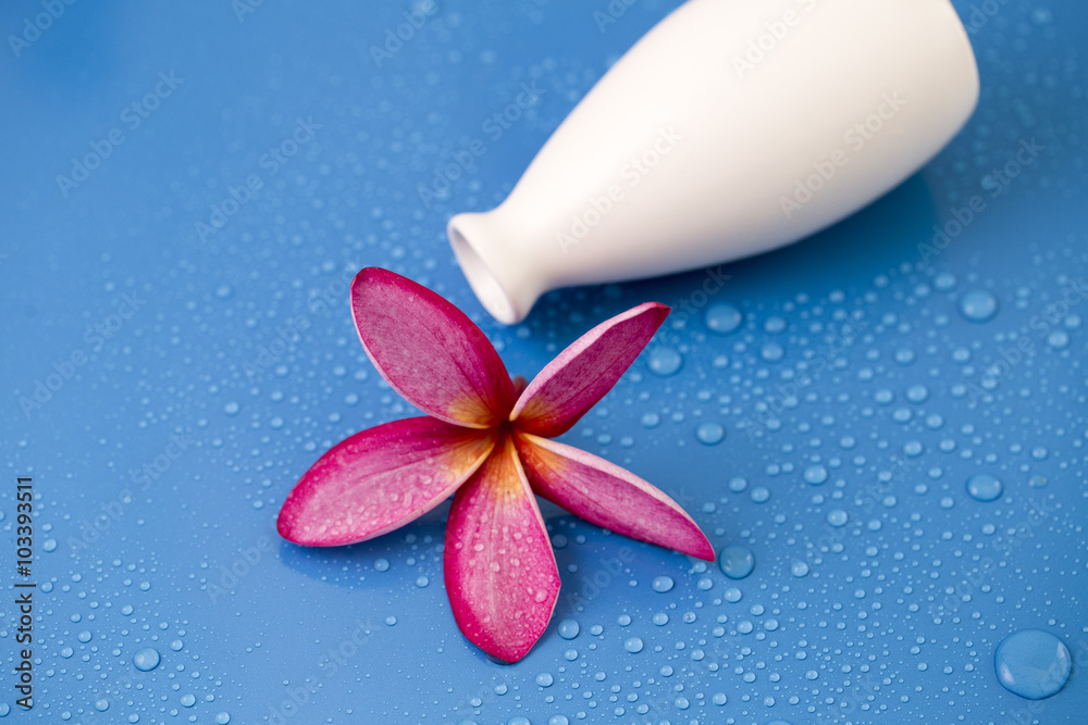 Fototapeta premium Plumeria Flower