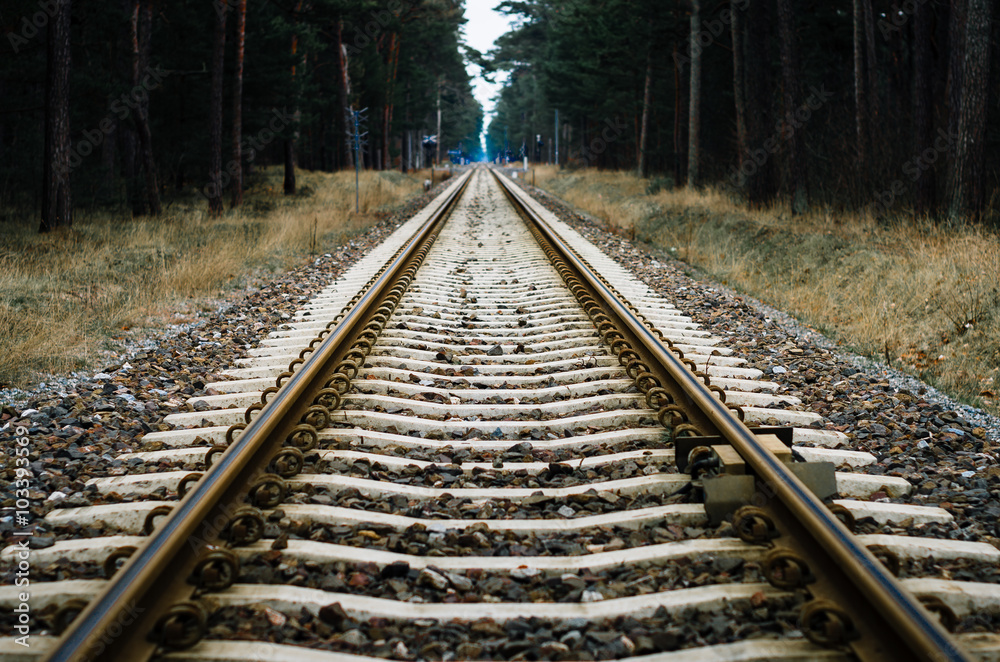 Fototapeta premium railroad tracks