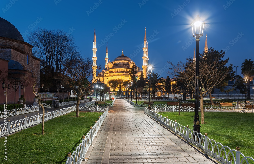Istanbul.Turkey. Night on Sultanahmet Mosque at Istanbul as seen from Sultanahmet Gardens.