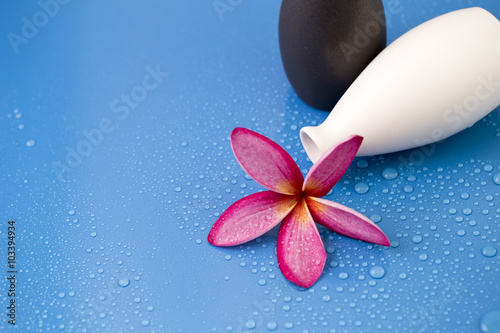 Plumeria Flower photo