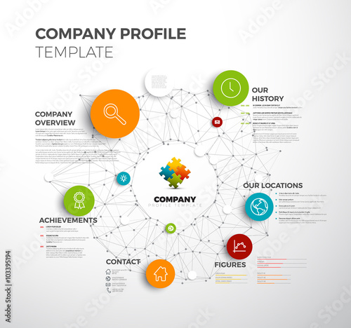 Vector Company infographic overview design template