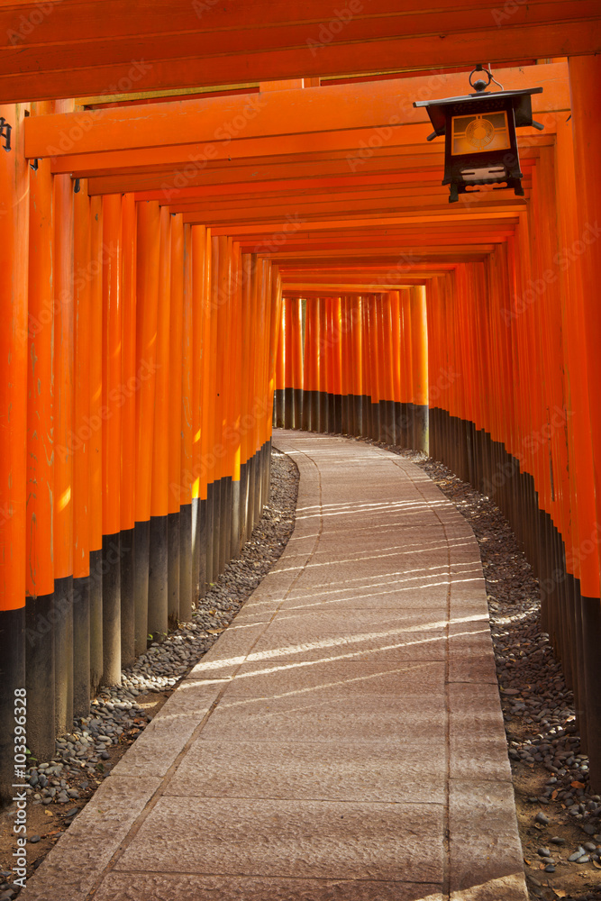 Torii gates of the Fushimi Inari Shrine in Kyoto, Japan Torii gates of the Fushimi Inari Shrine in Kyoto, Japan