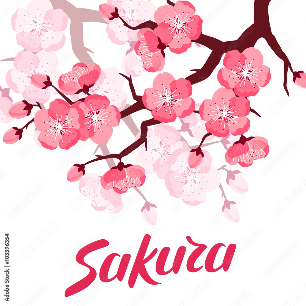 Naklejka premium Japanese sakura background with stylized flowers. Image for holiday invitations, greeting cards, posters