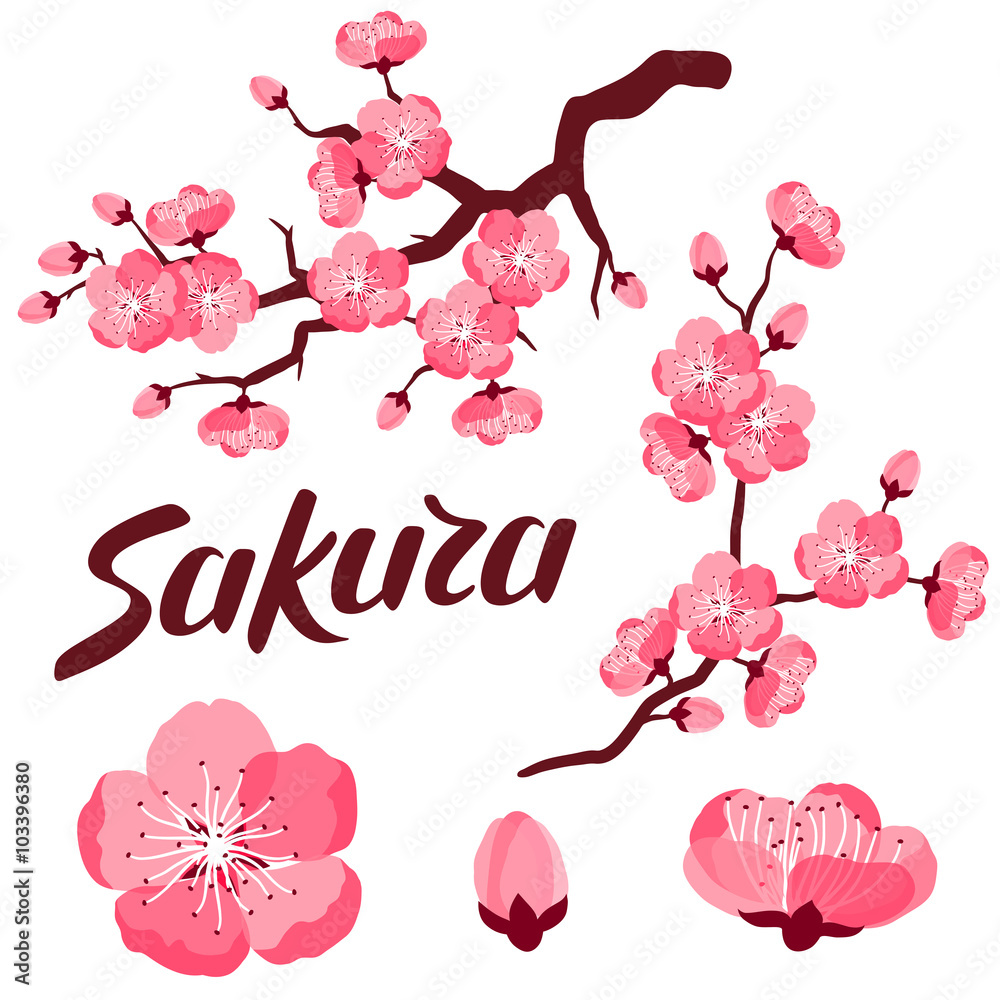Fototapeta premium Japanese sakura set of branches and stylized flowers. Objects for decoration, design on advertising booklets, banners, flayers