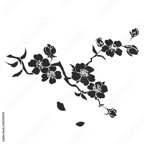 twig cherry blossoms